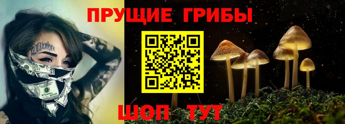 Красноперекопск  Галлюциногенные грибы MAGIC MUSHROOMS  цены наркотик  Вход с VPN  Псилоцибиновые грибы Psilocybe 